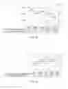 Fig. 20 - POLYVINYL BUTYRAL RESIN COMPOSITION, MOLDING AND METHOD OF MANUFACTURING POLYVINYL BUTYRAL RESIN COMPOSITION