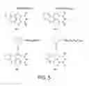 Fig. 09 - Class of green/yellow emitting phosphors based on benzoxanthene derivatives for LED lighting