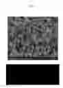 Fig. 02 - Semiconductor package with improved signal stability and method of manufacturing the same