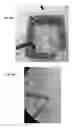 Fig. 06 - DEVICE AND METHODS COMPRISING MICROELECTRODE ARRAYS FOR ELECTROCONDUCTIVE CELLS