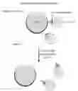 Fig. 06 - Devices and methods for purification, detection and use of biological cells