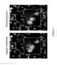 Fig. 08 - Systems and methods for culturing epithelial cells