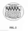 Fig. 03 - Neural progenitor cell differentiation