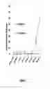 Fig. 04 - IKAROS INHIBITION TO AUGMENT ADOPTIVE T CELL TRANSFER