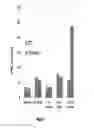 Fig. 10 - IKAROS INHIBITION TO AUGMENT ADOPTIVE T CELL TRANSFER