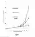 Fig. 14 - IKAROS INHIBITION TO AUGMENT ADOPTIVE T CELL TRANSFER