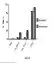 Fig. 19 - IKAROS INHIBITION TO AUGMENT ADOPTIVE T CELL TRANSFER