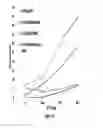 Fig. 23 - IKAROS INHIBITION TO AUGMENT ADOPTIVE T CELL TRANSFER