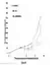 Fig. 24 - IKAROS INHIBITION TO AUGMENT ADOPTIVE T CELL TRANSFER