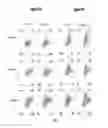 Fig. 28 - IKAROS INHIBITION TO AUGMENT ADOPTIVE T CELL TRANSFER