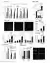 Fig. 06 - METHODS OF INCREASING INSULIN CONTENT IN CELLS