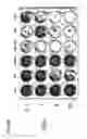 Fig. 41 - TUMOR-SELECTIVE E1A  AND E1B MUTANTS