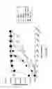 Fig. 06 - Adeno-associated virus variants and methods of use thereof