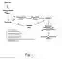 Fig. 02 - Dehydrogenase variants and polynucleotides encoding same