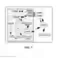 Fig. 02 - Method for modulating a bacterial invasion switch