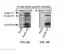 Fig. 08 - Method for modulating a bacterial invasion switch