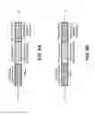 Fig. 06 - SEMI-RANDOM BARCODES FOR NUCLEIC ACID ANALYSIS