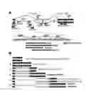 Fig. 01 - Reducing intron retention