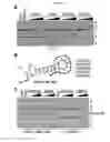 Fig. 04 - Reducing intron retention