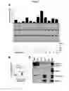 Fig. 08 - Reducing intron retention