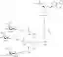 Fig. 227 - CONJUGATED ANTISENSE COMPOUNDS AND THEIR USE