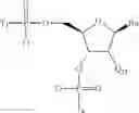 Fig. 246 - CONJUGATED ANTISENSE COMPOUNDS AND THEIR USE