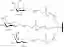 Fig. 302 - CONJUGATED ANTISENSE COMPOUNDS AND THEIR USE