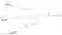 Fig. 306 - CONJUGATED ANTISENSE COMPOUNDS AND THEIR USE