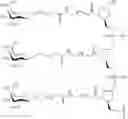 Fig. 323 - CONJUGATED ANTISENSE COMPOUNDS AND THEIR USE