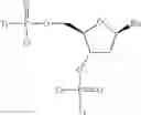 Fig. 341 - CONJUGATED ANTISENSE COMPOUNDS AND THEIR USE
