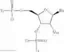 Fig. 342 - CONJUGATED ANTISENSE COMPOUNDS AND THEIR USE