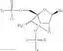 Fig. 388 - CONJUGATED ANTISENSE COMPOUNDS AND THEIR USE