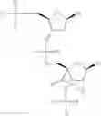 Fig. 396 - CONJUGATED ANTISENSE COMPOUNDS AND THEIR USE