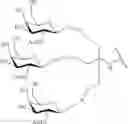 Fig. 558 - CONJUGATED ANTISENSE COMPOUNDS AND THEIR USE