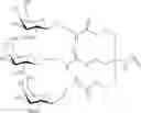 Fig. 560 - CONJUGATED ANTISENSE COMPOUNDS AND THEIR USE