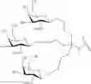 Fig. 567 - CONJUGATED ANTISENSE COMPOUNDS AND THEIR USE