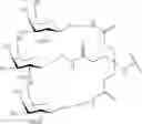 Fig. 570 - CONJUGATED ANTISENSE COMPOUNDS AND THEIR USE