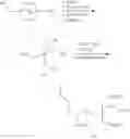 Fig. 607 - CONJUGATED ANTISENSE COMPOUNDS AND THEIR USE