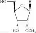 Fig. 18 - CHIMERIC OLIGOMERIC COMPOUNDS AND THEIR USE IN GENE MODULATION