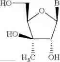 Fig. 20 - CHIMERIC OLIGOMERIC COMPOUNDS AND THEIR USE IN GENE MODULATION