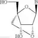 Fig. 22 - CHIMERIC OLIGOMERIC COMPOUNDS AND THEIR USE IN GENE MODULATION