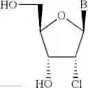 Fig. 23 - CHIMERIC OLIGOMERIC COMPOUNDS AND THEIR USE IN GENE MODULATION