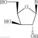 Fig. 24 - CHIMERIC OLIGOMERIC COMPOUNDS AND THEIR USE IN GENE MODULATION
