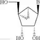 Fig. 26 - CHIMERIC OLIGOMERIC COMPOUNDS AND THEIR USE IN GENE MODULATION