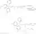 Fig. 25 - Lipohillic oligonucleotide analogs