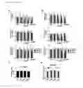 Fig. 06 - PHOSPHORODIAMIDATE MORPHOLINO OLIGOMERS (PMOS) AND THEIR USE IN SUPPRESSION OF MUTANT HUNTINGTIN EXPRESSION AND ATTENUATION OF NEUROTOXICITY