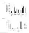 Fig. 05 - 5′-triphosphate oligoribonucleotides