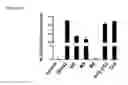 Fig. 23 - 5′-triphosphate oligoribonucleotides