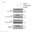 Fig. 33 - 5′-triphosphate oligoribonucleotides