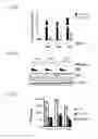 Fig. 35 - 5′-triphosphate oligoribonucleotides